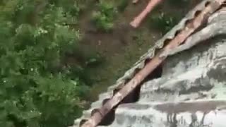 Shirtless man jumps off balcony