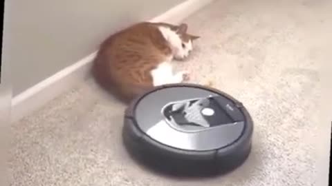 Cat Robot Vacuum Cleaner
