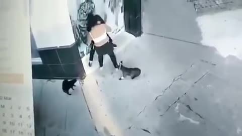 Video: A una mujer la 'mordió' la delincuencia, en Bucaramanga