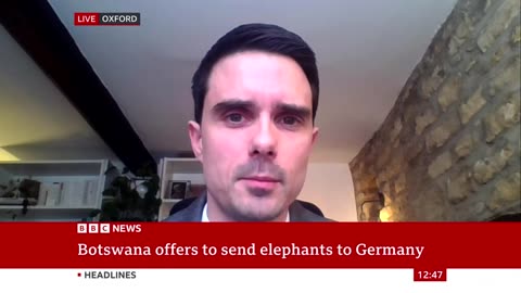 Botswana threatens to send 20,000 elephants to Germany | BBC News