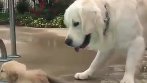 Cute cutie playing with her mom