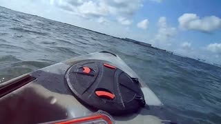 Saint Joseph Sound Large Stingray