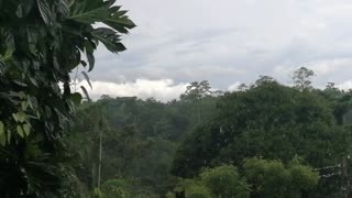 Raining countryside