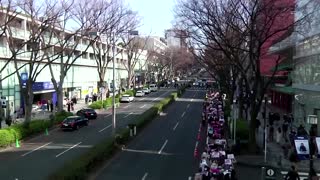 Thousands march in Tokyo to protest Myanmar coup