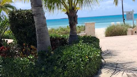 Chub Cay Bahamas Infinity Pool and Ocean View