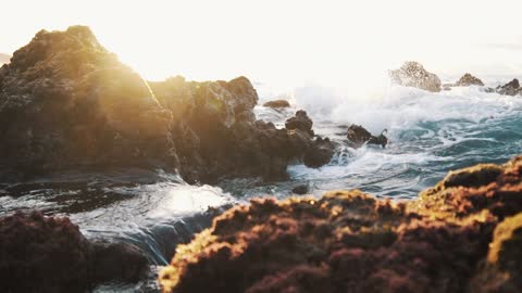 Waves - Beautiful Nature Videos #5