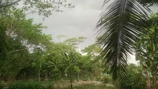 A beauty before Rain at Barishal, Bangladesh.