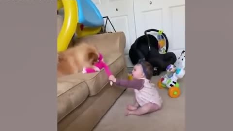 The dog is playing with the dolls The baby is smiling