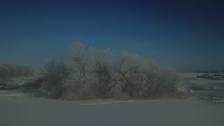 Drone crashes into a tree and flies up and away