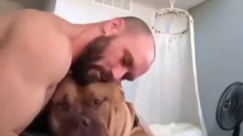 The day to day with a pitbull