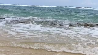 Beautiful beach in srilankan