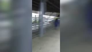 terremoto en Filipinas