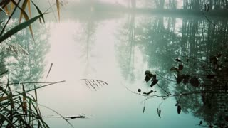 Linda Sue Grimes: "Fog on the Pond"