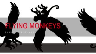 Cluster B Class - Flying Monkeys