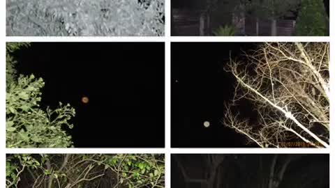 Orbs and Trees
