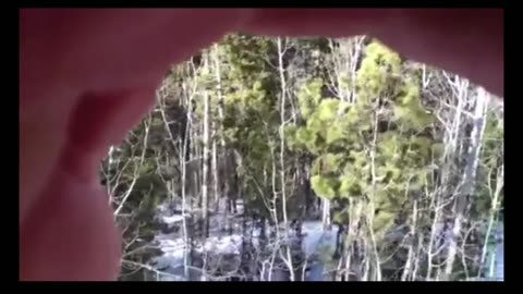 Bigfoot in Colorado Breakdown