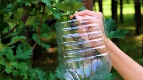 Clever ways to reuse and recycle empty plastic bottles