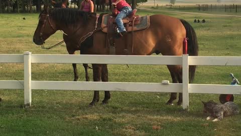 Innovative Little Girl Finds Way Back On Horse