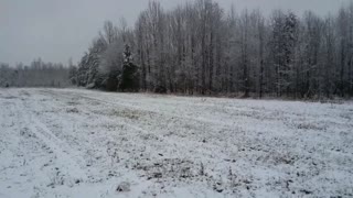 Snowy Field in NC