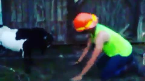 Teen Goes Head to Head with Goat