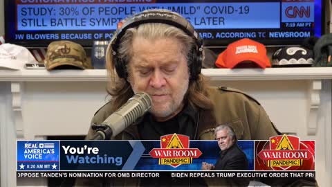 Steve Bannon on amnesty bill: It's a combination of radical left, Wall Street, Chamber of Commerce