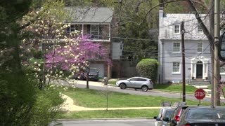 DC Celebrates Spring With Petal Porch Parade