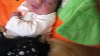 Baby and Golden Retriever Snuggling in Pumpkin Outfits