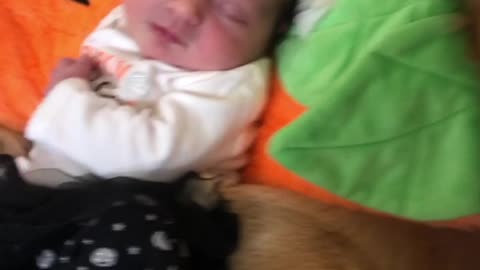 Baby and Golden Retriever Snuggling in Pumpkin Outfits