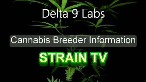 Delta 9 Labs - Cannabis Strain Series - STRAIN TV