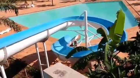 Bull spotted descending on water slide/ Touro flagrado descendo em toboágua