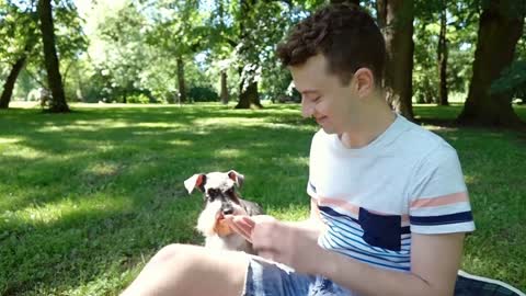 Boy feeding his cute dog and relaxing with him in the park, steadycam shot