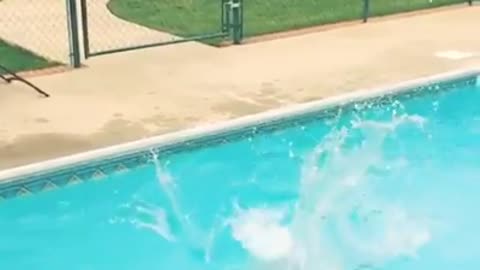 Belly Flop