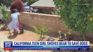California Teen Girl Shoves Bear to Save Dogs