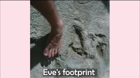 Eve's footprints in South Africa