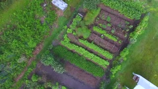 Profitable Permaculture through the Urban Farm Academy
