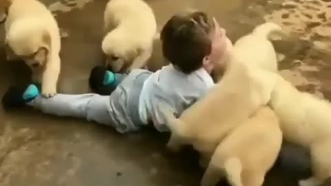 Cute boy Play with cute puppy.
