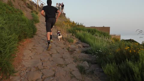 Man Running with 2 Dogs on Mountain Trail 1#