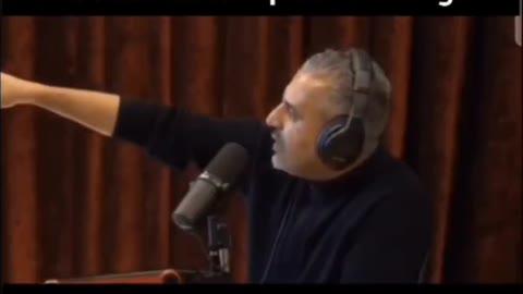 Joe Rogan and Maajid Nawaz