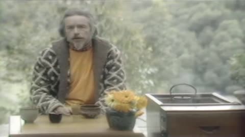 Alan Watts Explains Who We Really Are