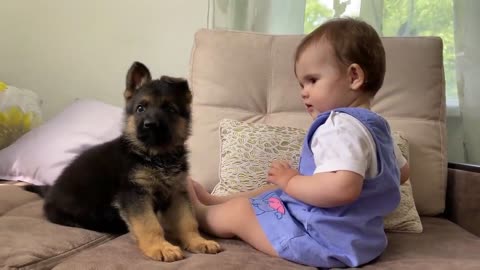 The cute baby and the little German Shepherd dog 👶🐕