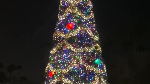 Disney Hollywood Studios Christmas tree