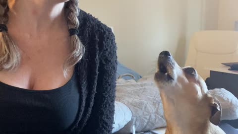 Casper Interrupts Owner's Singing