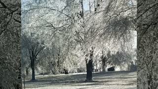 West Tennessee Ice Storm 2022