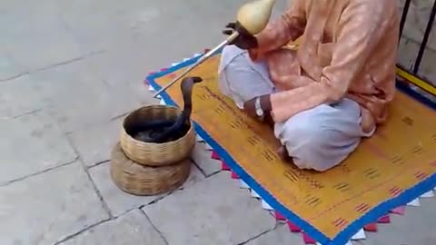 snake dance in india