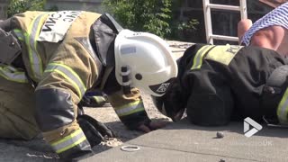 Dog rescued from between two walls