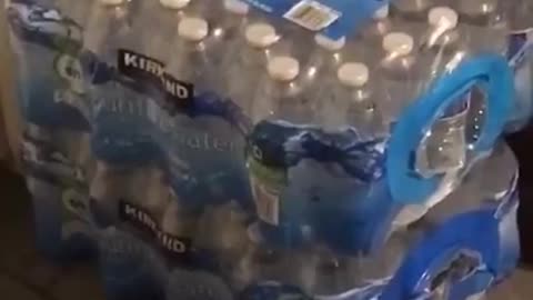 Strange cat in between bottles