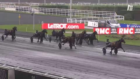 QUINTE PLUS El Santo Haufor - Prix du Limousin - Vincennes - 12/01/21