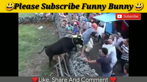 Bullfighting is very funny