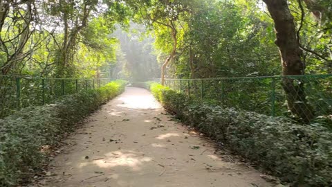 Kanak durga temple entrance