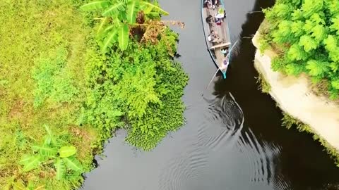Nature | Journey by Boat | No copyright Video | Free Stock Videos | #shorts